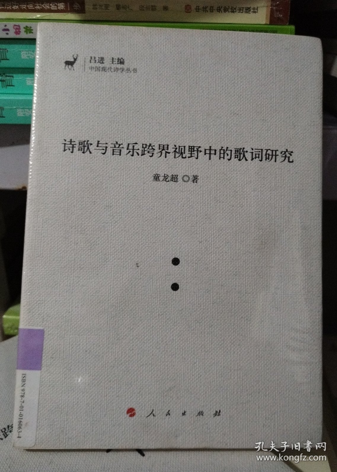 正版库存书：诗歌与音乐跨界视野中的歌词研究诗歌与音乐跨界视野中的歌词研究（J)（中国现代诗学丛书）（331）