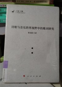 正版库存书：诗歌与音乐跨界视野中的歌词研究诗歌与音乐跨界视野中的歌词研究（J)（中国现代诗学丛书）（331）