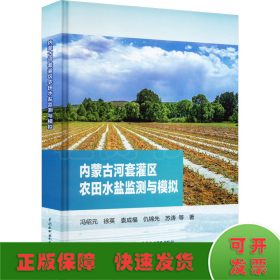 内蒙古河套灌区农田水盐监测与模拟