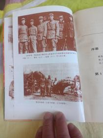 中国产党武装力量抗战纪实，新四军征战实录