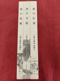 西口在望 丛书