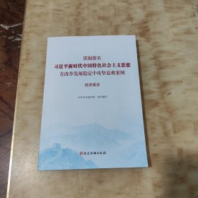 经济建设（贯彻落实习近平新时代中国特色社会主义思想在改革发展稳定中攻坚克难案例）