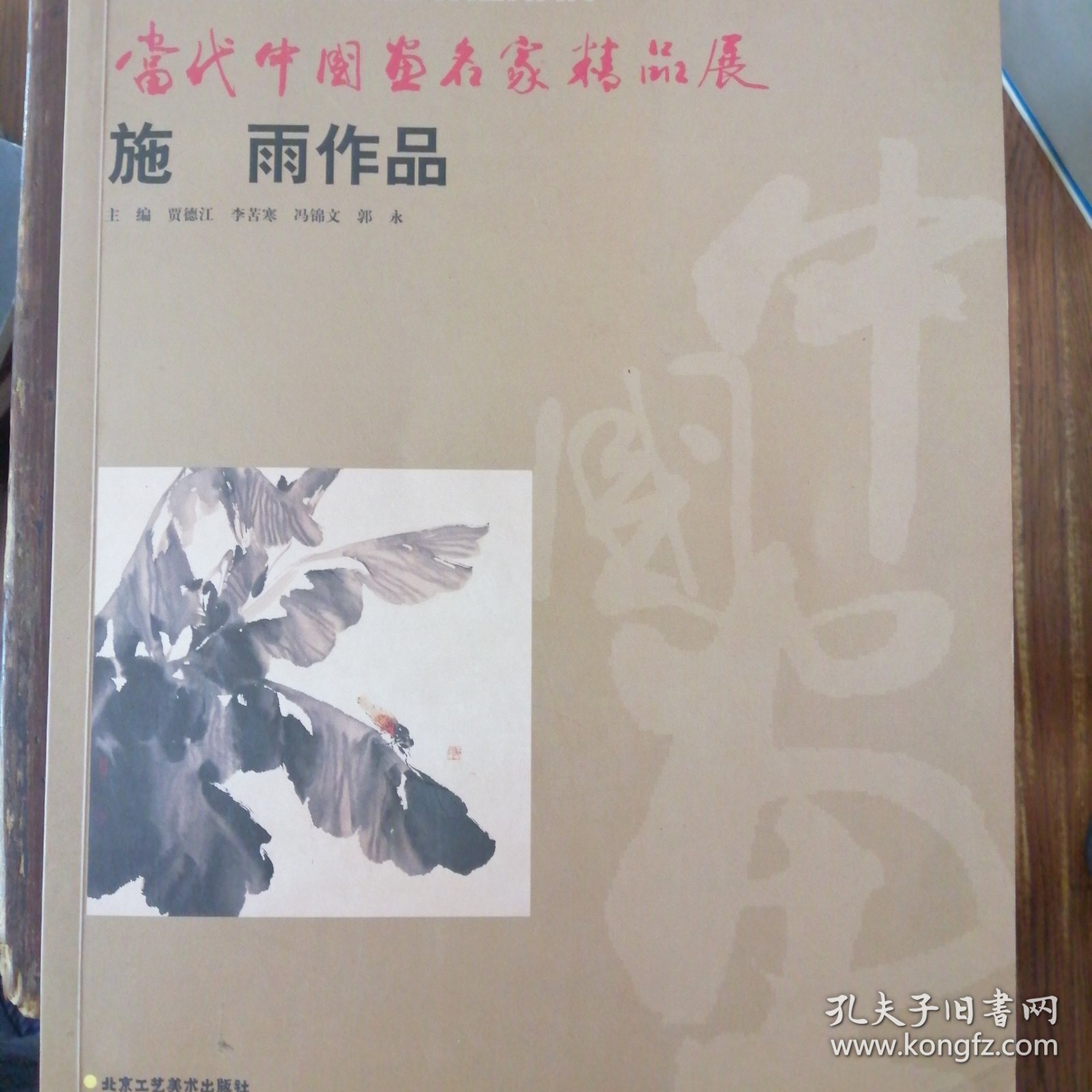 当代中国名家精品展施雨作品