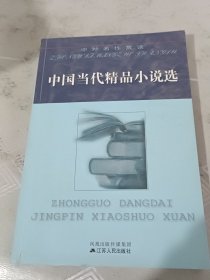 中国当代精品小说选