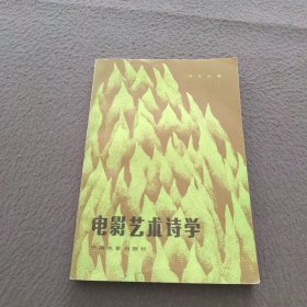 电影艺术诗学