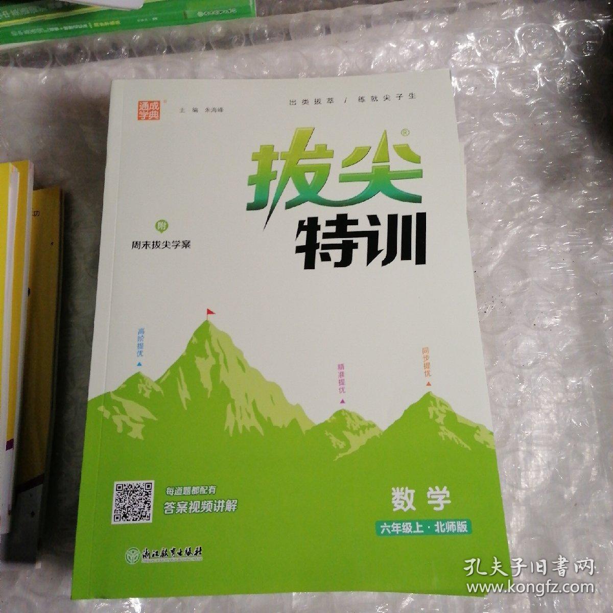 通城学典·拔尖特训：数学（六年级上北师版）2023秋