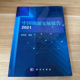 中国能源发展报告2021