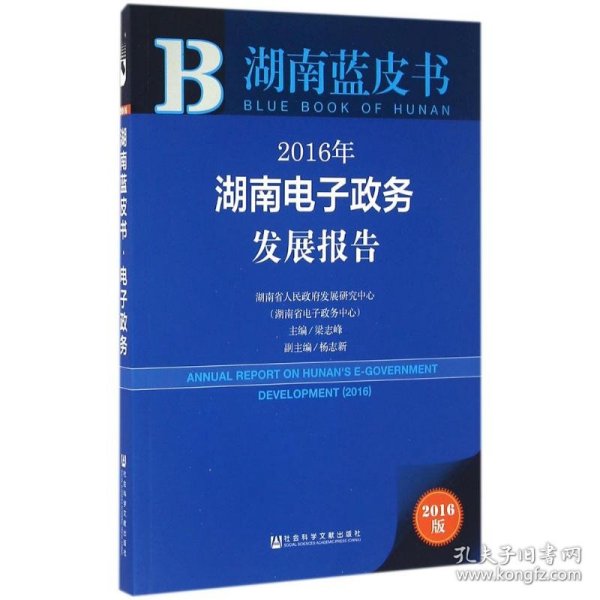 2016年湖南电子政务发展报告