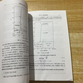 山西大学建校110周年学术文库：盐湖化工基础及应用