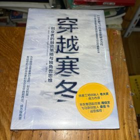 穿越寒冬:《让大象飞》作者的全新破冰力作