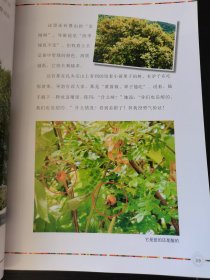 全家人的暑期京藏自驾游之三：猎奇滇藏线