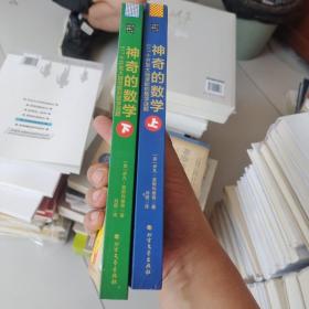 神奇的数学：517个开发大脑潜能的数学谜题