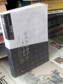 公共知识分子：衰落之研究