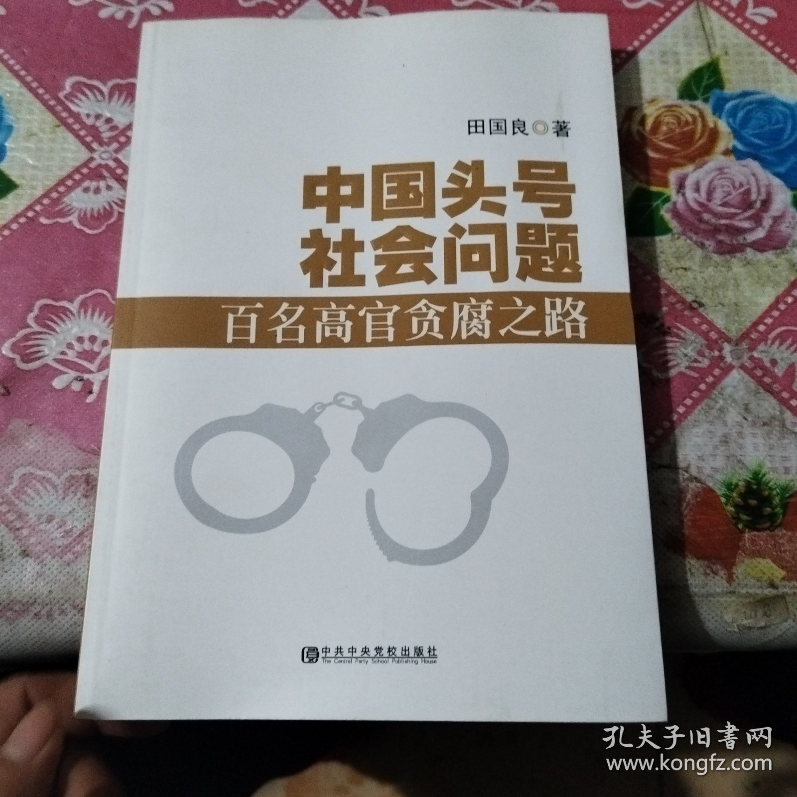 中国头号社会问题：百名高管贪腐之路