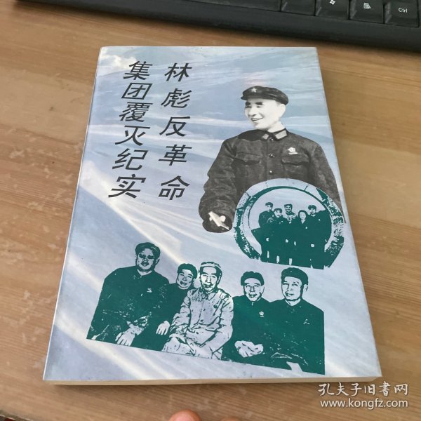 林彪反革命集团覆灭纪实