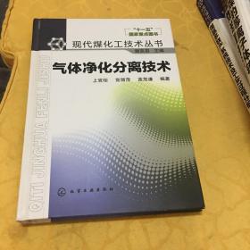 现代煤化工技术丛书：气体净化分离技术