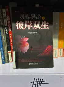 灵媒导游 . 5 : 彼岸双生