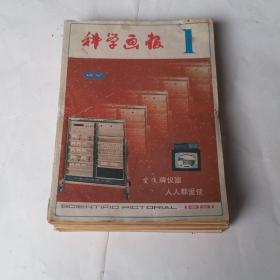 科学画报1981年12册全