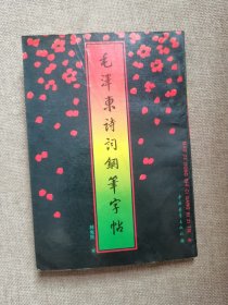 毛泽东诗词钢笔字帖