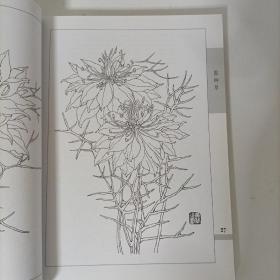中国画实用范图：白描花卉