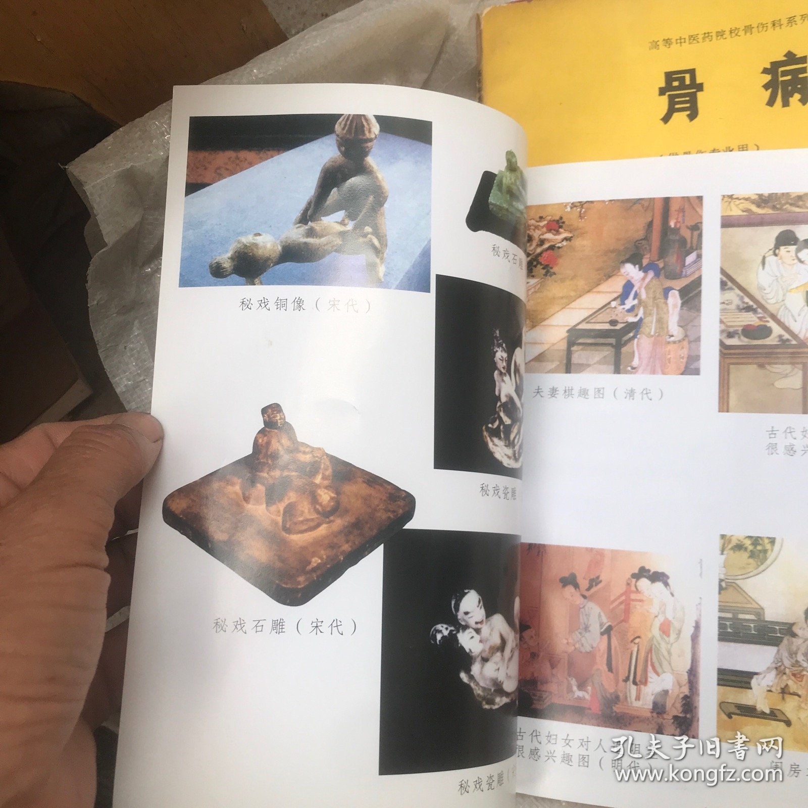 仙山彭祖长寿术.彭祖秘术 女人篇