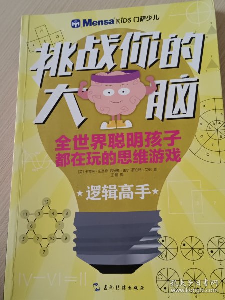 挑战你的大脑：逻辑高手