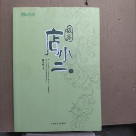 极品店小二1