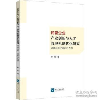 民营企业产业创新与人才管理机制优化研究：以湖北咸宁高新区为例