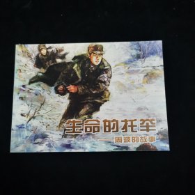 生命的托举 ——周波的故事
