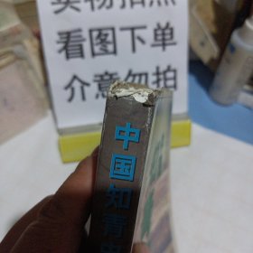 中国知青史 初澜(一九五三 - 一九六八)