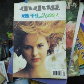 小小说选刊2000--1