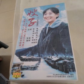 VCD 嫂子 20集 20碟 拆封