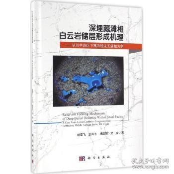 深埋藏滩相白云岩储层形成机理：以川中地区下寒武统龙王庙组为例