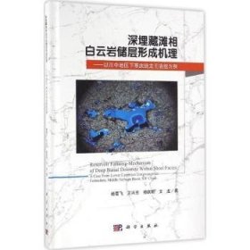 深埋藏滩相白云岩储层形成机理：以川中地区下寒武统龙王庙组为例