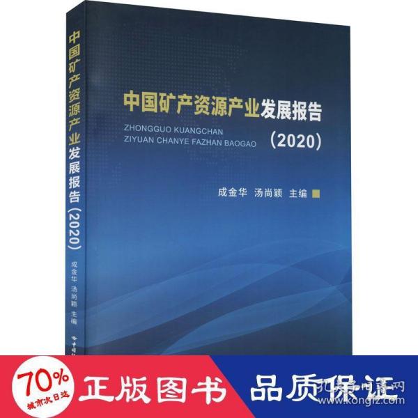 中国矿产资源产业发展报告(2020)