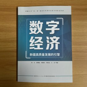 数字经济 新疆高质量发展的引擎