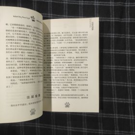 沉默的森林 小虎队儿童文学丛书