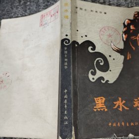 黑水魂一