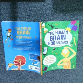 The Human Brain in 30 Seconds 30秒认识人脑