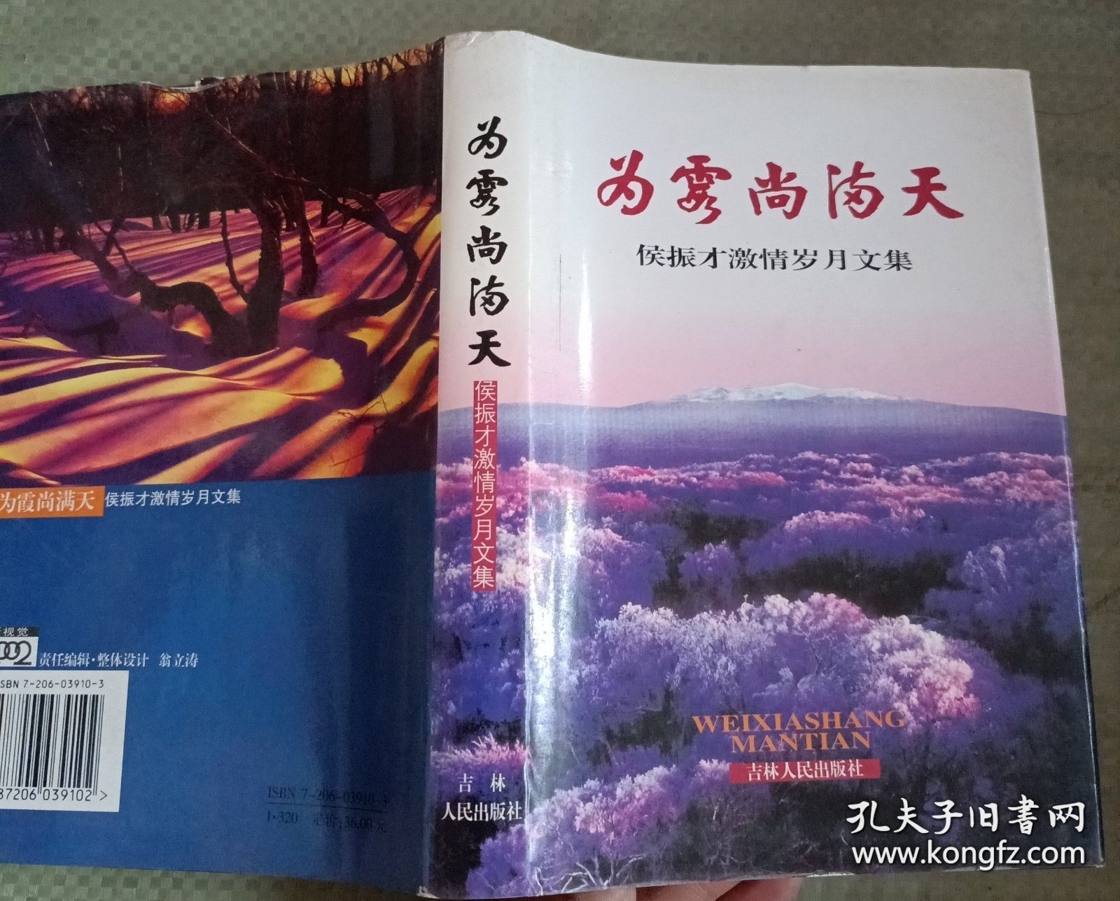 为霞尚满天 侯振才激情岁月文集