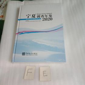 宁夏调查年鉴2020 未拆封