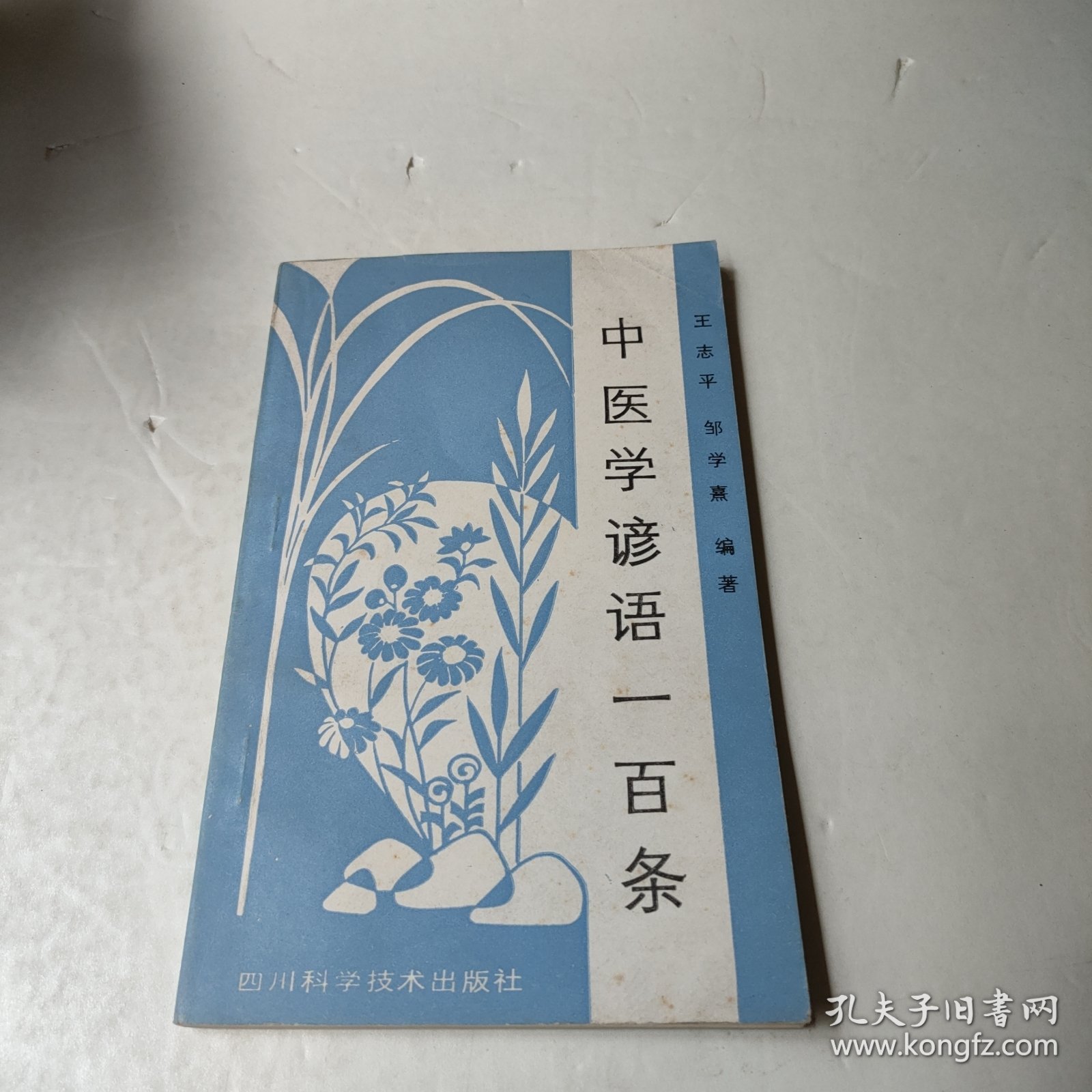 中医学诊语一百条