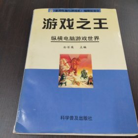 游戏之王：纵横电脑游戏世界