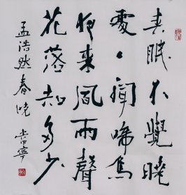书法斗方一幅 孟浩然春晓 50厘米X50厘米 三尺斗方宣纸手写画心未裱