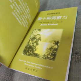 塞莱斯廷预言Ⅱ第十种洞察力
