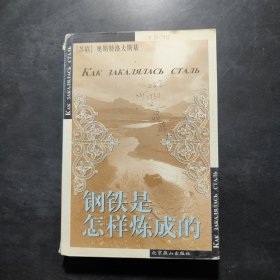 钢铁是怎样炼成的