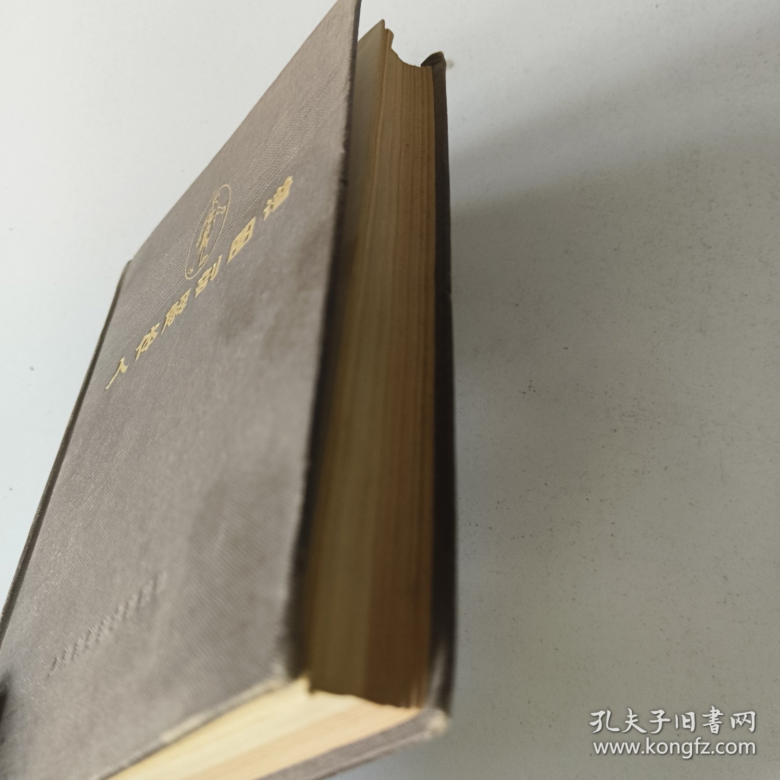 人体解部图谱(S一2书架)