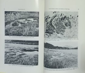 【学者谢又广签名旧藏】1972年东京大学地理系学者坂口裕隆著《泥炭沼泽中滩洼成因的探讨——茅草弦理论的解释》16开25页插图本