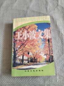 王小波文集
