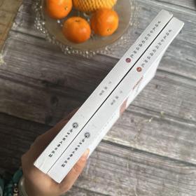 日語復(fù)合助詞的偏誤研究（上下冊）/日語偏誤與日語教學(xué)研究叢書